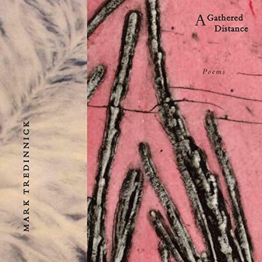 Geoff Page reviews A Gathered Distance: Poems by Mark Tredinnick and The Mirror Hurlers by Ross Gillett