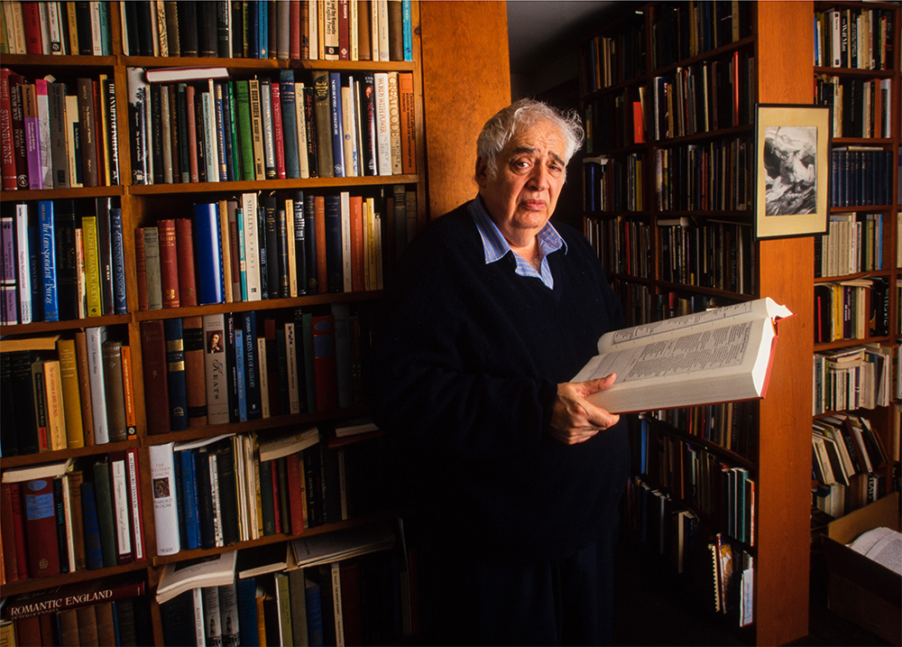 Harold Bloom, photographed in New Haven CT (Randy Duchaine/Alamy)