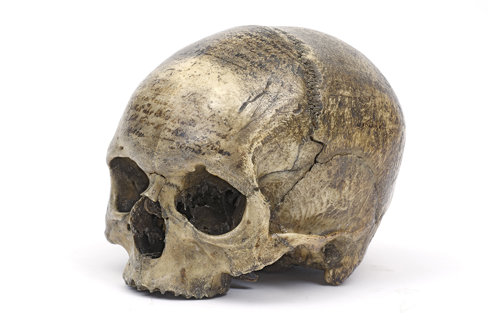 The skull of René Descartes (©MNHN/JC Domenech)