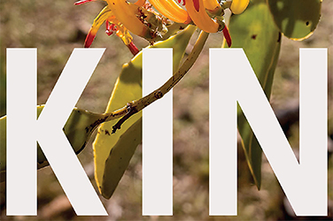 Prithvi Varatharajan reviews 'Kin: Thinking with Deborah Bird Rose' edited by Thom van Dooren and Matthew Chrulew