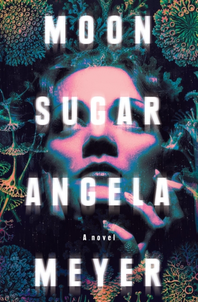 Jennifer Mills reviews &#039;Moon Sugar&#039; by Angela Meyer