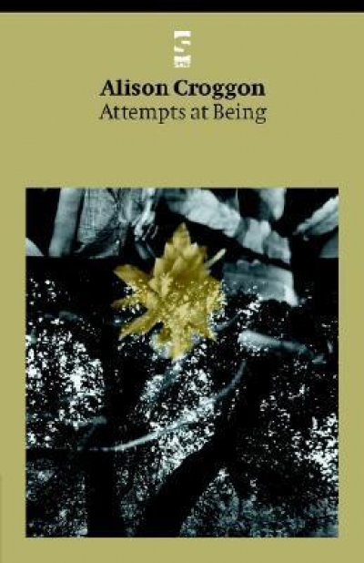 David McCooey reviews four poetry collections