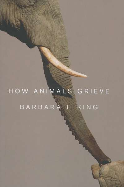 Rebecca Giggs reviews &#039;How Animals Grieve&#039; by Barbara J. King