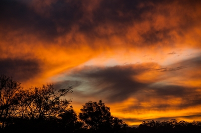 ‘The Story of Short Stories in Australia’ by Bruce Pascoe