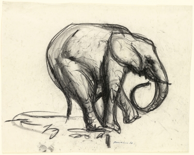 Fred Williams, Elephant,1953 (National Gallery of Victoria)