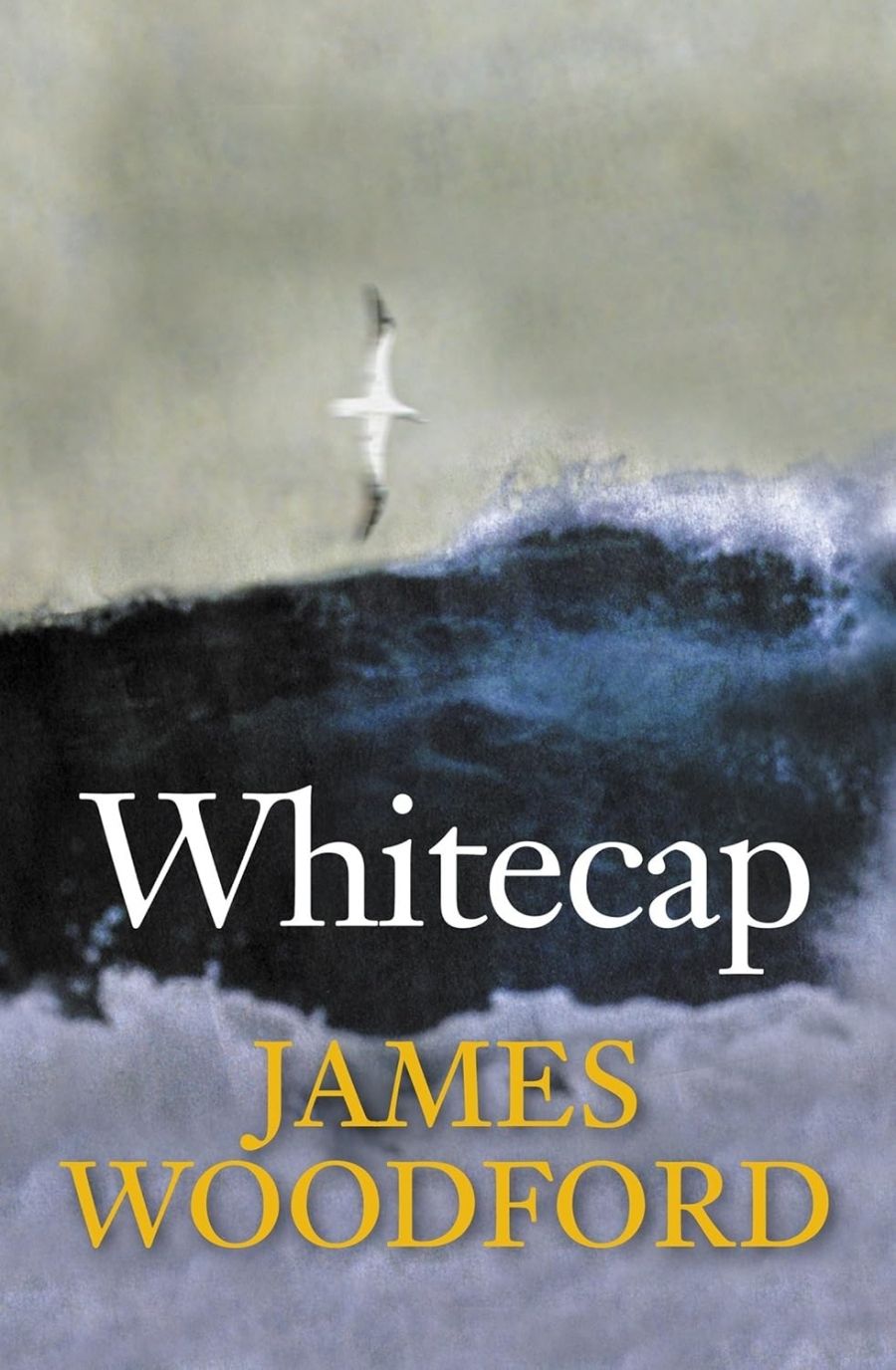 Fiona Gruber reviews Whitecap by James Woodford