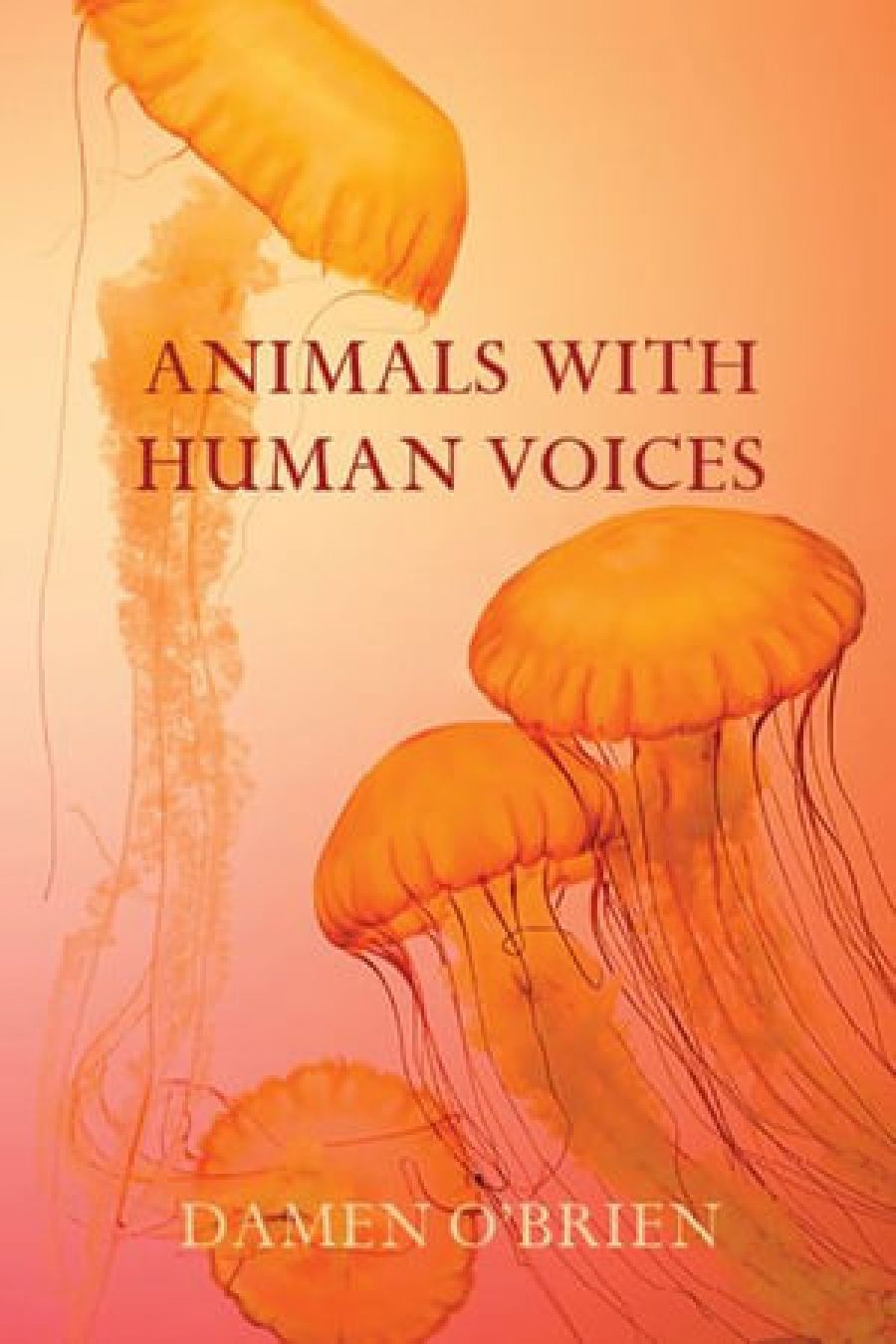 Sarah Day reviews Animals with Human Voices by Damen OBrien