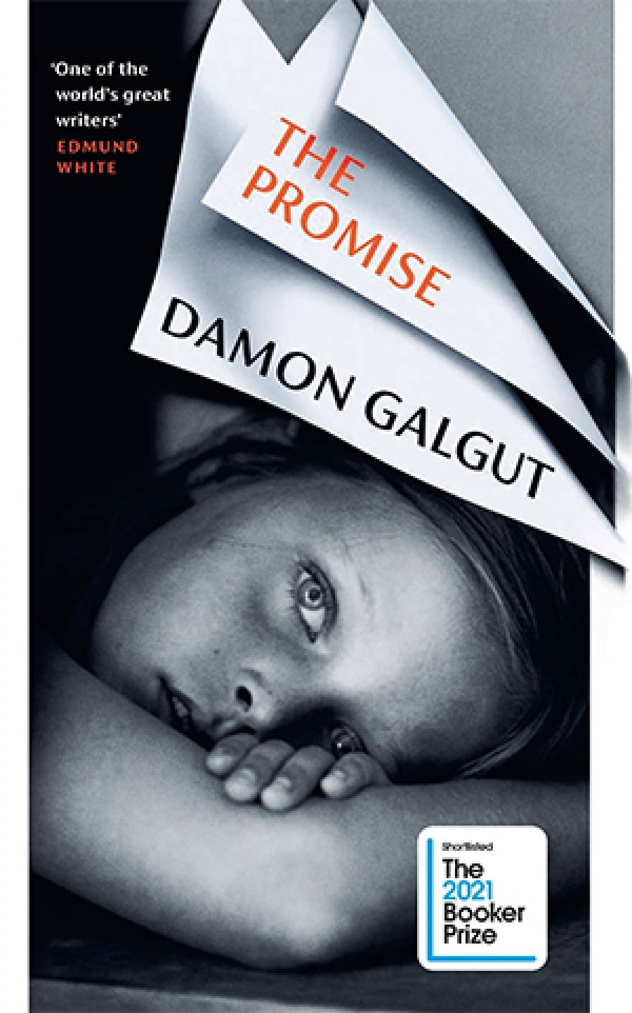 Marc Mierowsky reviews The Promise by Damon Galgut
