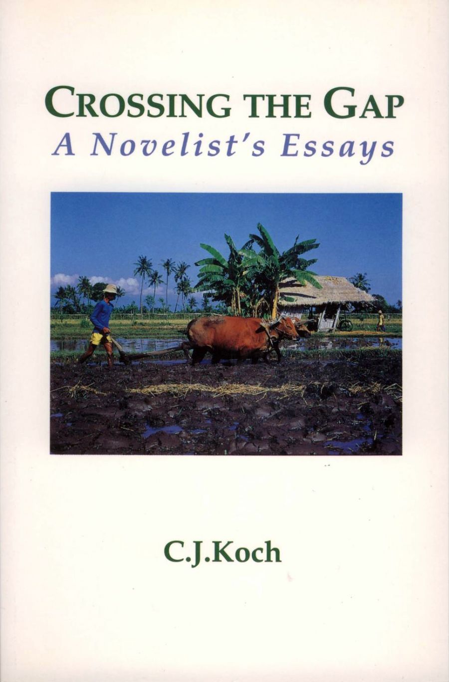 Kevin Hart reviews Crossing the Gap: A novelist’s essays by C.J. Koch