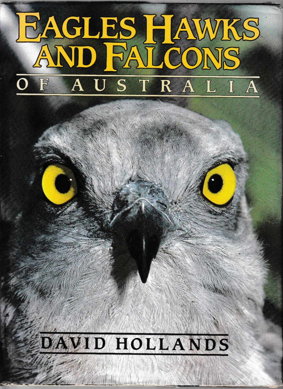 Jack Jones reviews ‘Eagles Hawks and Falcons of Australia’ by David Hollands