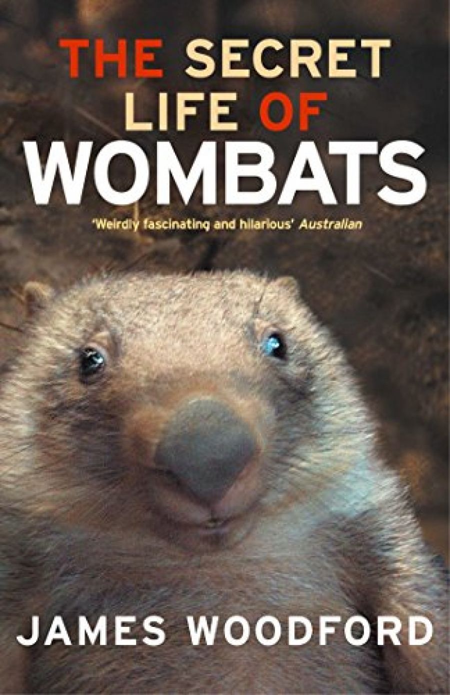 Patrice Newell reviews The Secret Life of Wombats by James Woodford