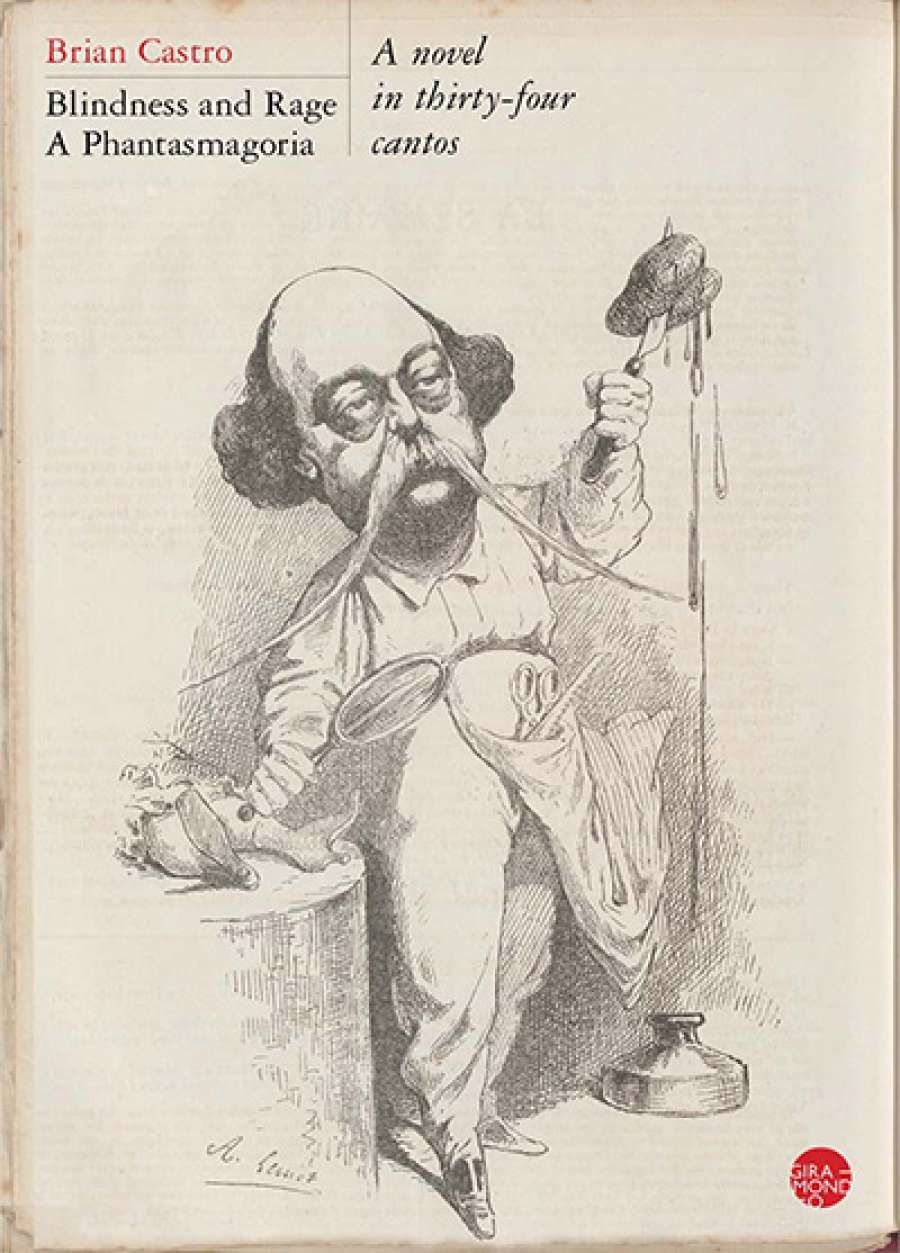 Patrick Holland reviews Blindness and Rage: A Phantasmagoria: A novel in thirty-four cantos by Brian Castro