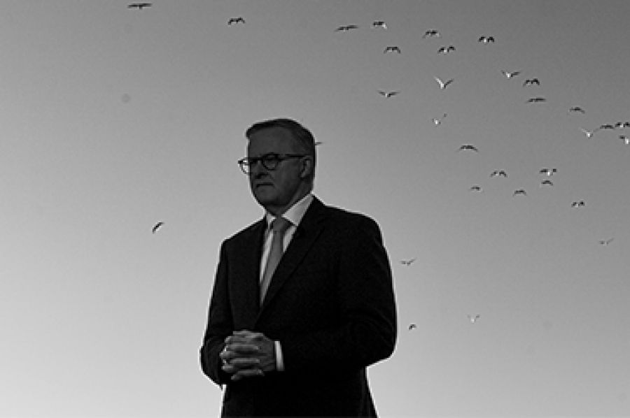 Quo vadis, Australia? Reorienting the nation following the election by Joy Damousi et al.