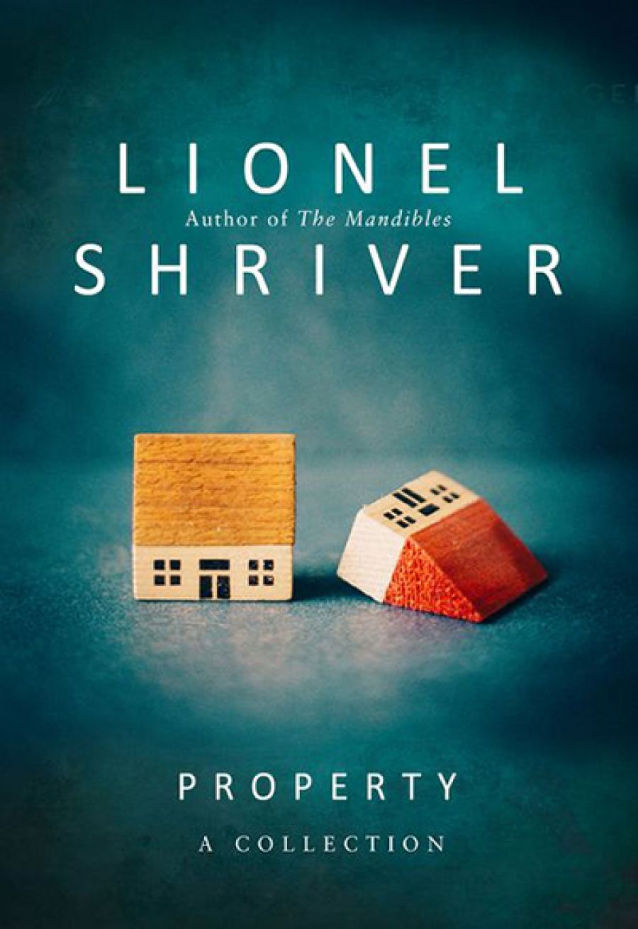 Chris Flynn reviews Property by Lionel Shriver