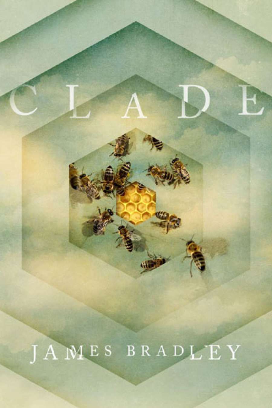 Amy Baillieu reviews Clade by James Bradley