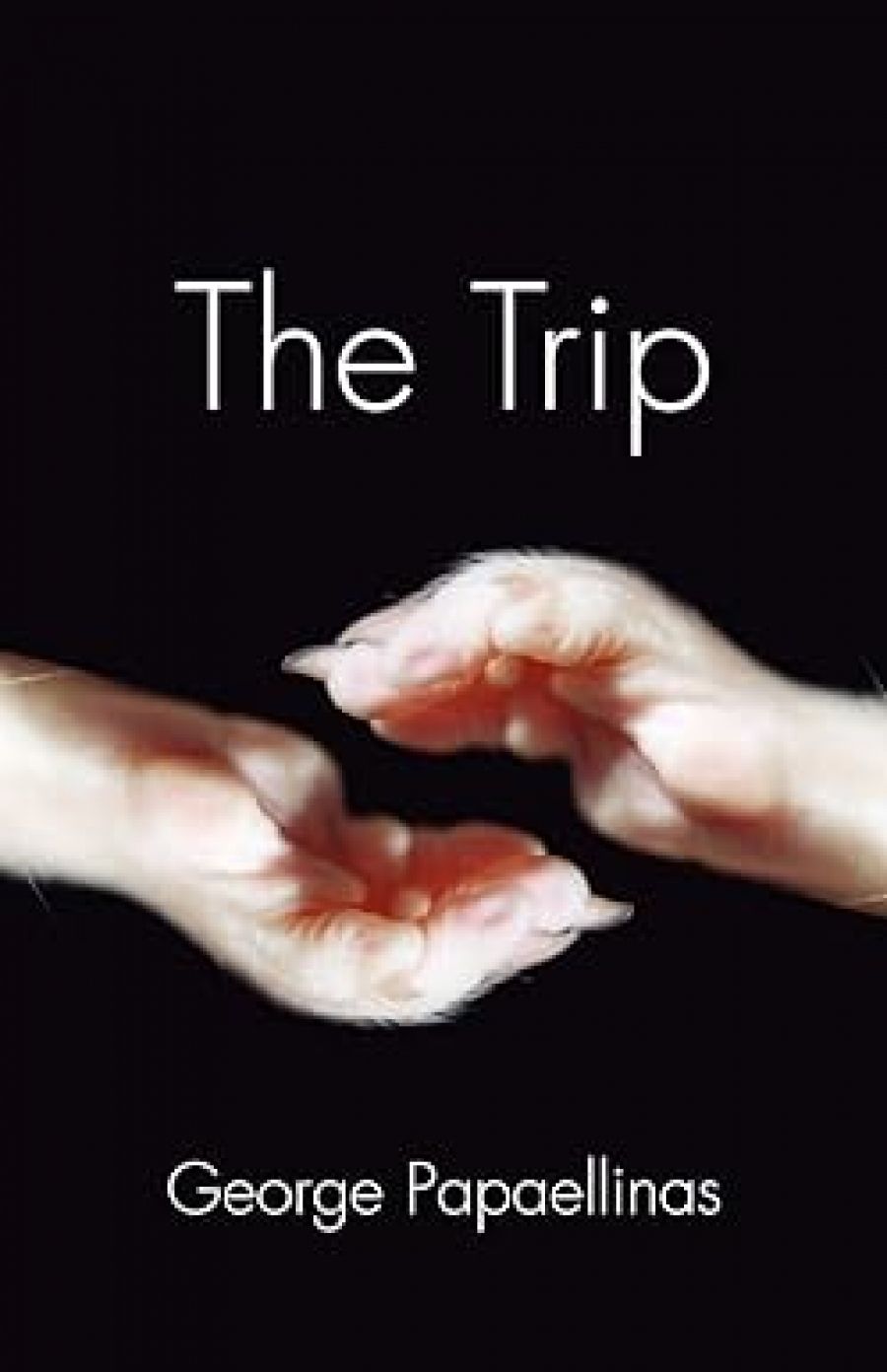 Jay Daniel Thompson reviews The Trip by George Papaellinas