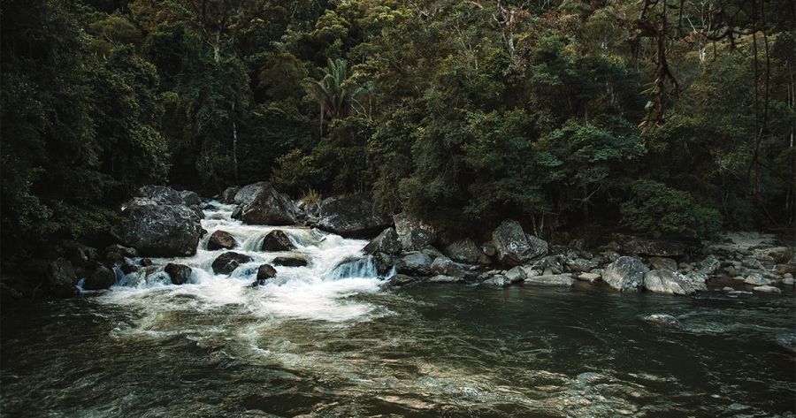 Jolley Prize 2019 (Winner): The Point-Blank Murder by Sonja Dechian