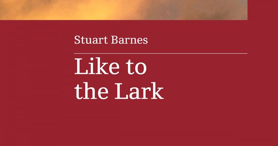 Michael Farrell reviews Like to the Lark by Stuart Barnes