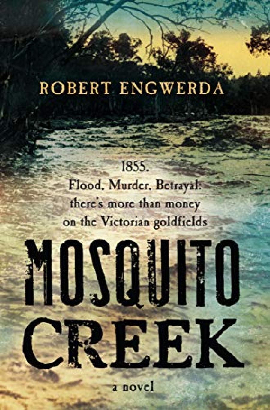 Stephanie Green reviews Mosquito creek by Robert Engwerda