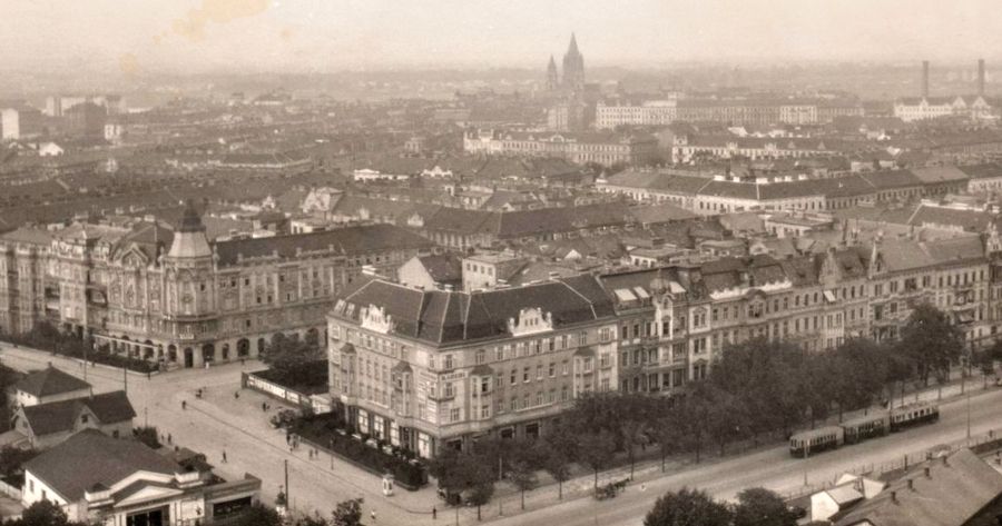 Seumas Spark reviews ‘Paul and Paula: A history of separation, survival and belonging’ by Tim McNamara