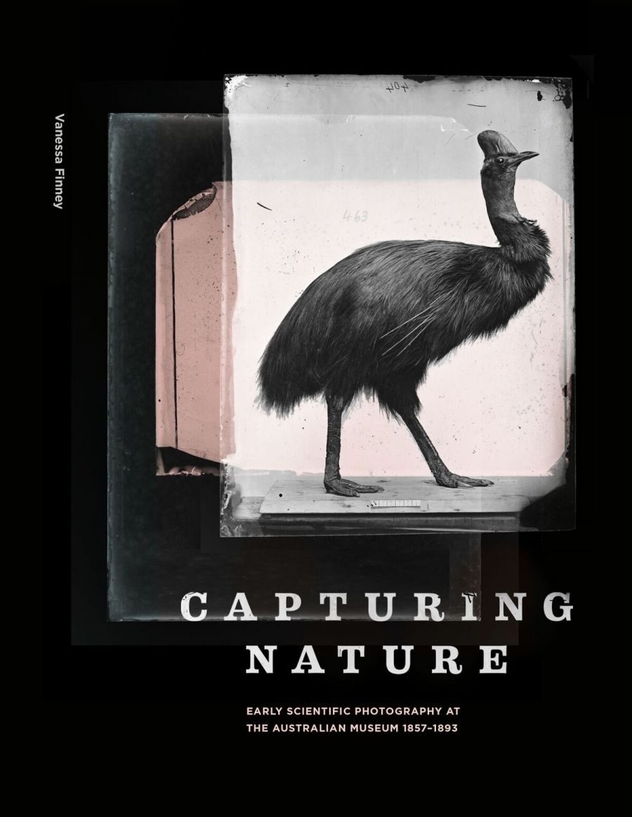 Philip Jones reviews Capturing Nature: Early scientific photography at the Australian Museum 1857–1893 by Vanessa Finney