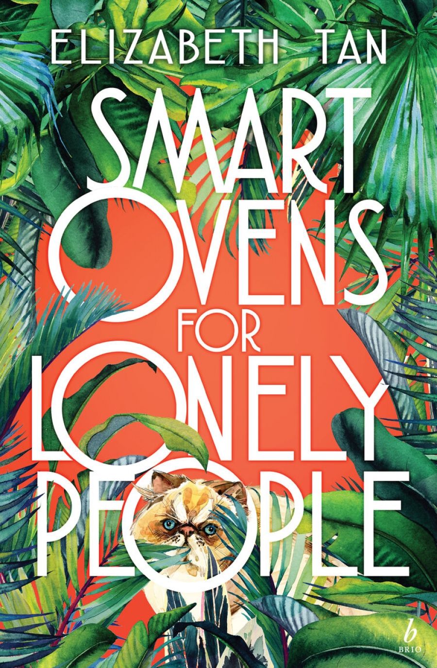 Lisa Bennett reviews Smart Ovens for Lonely People by Elizabeth Tan