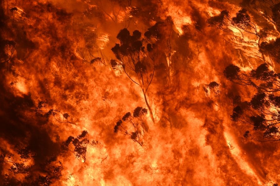 Season of reckoning by Tom Griffiths