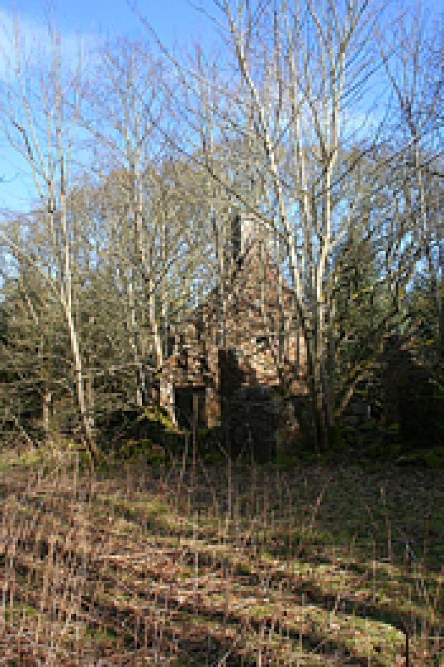 Walking Off, a new poem by Fleur Adcock