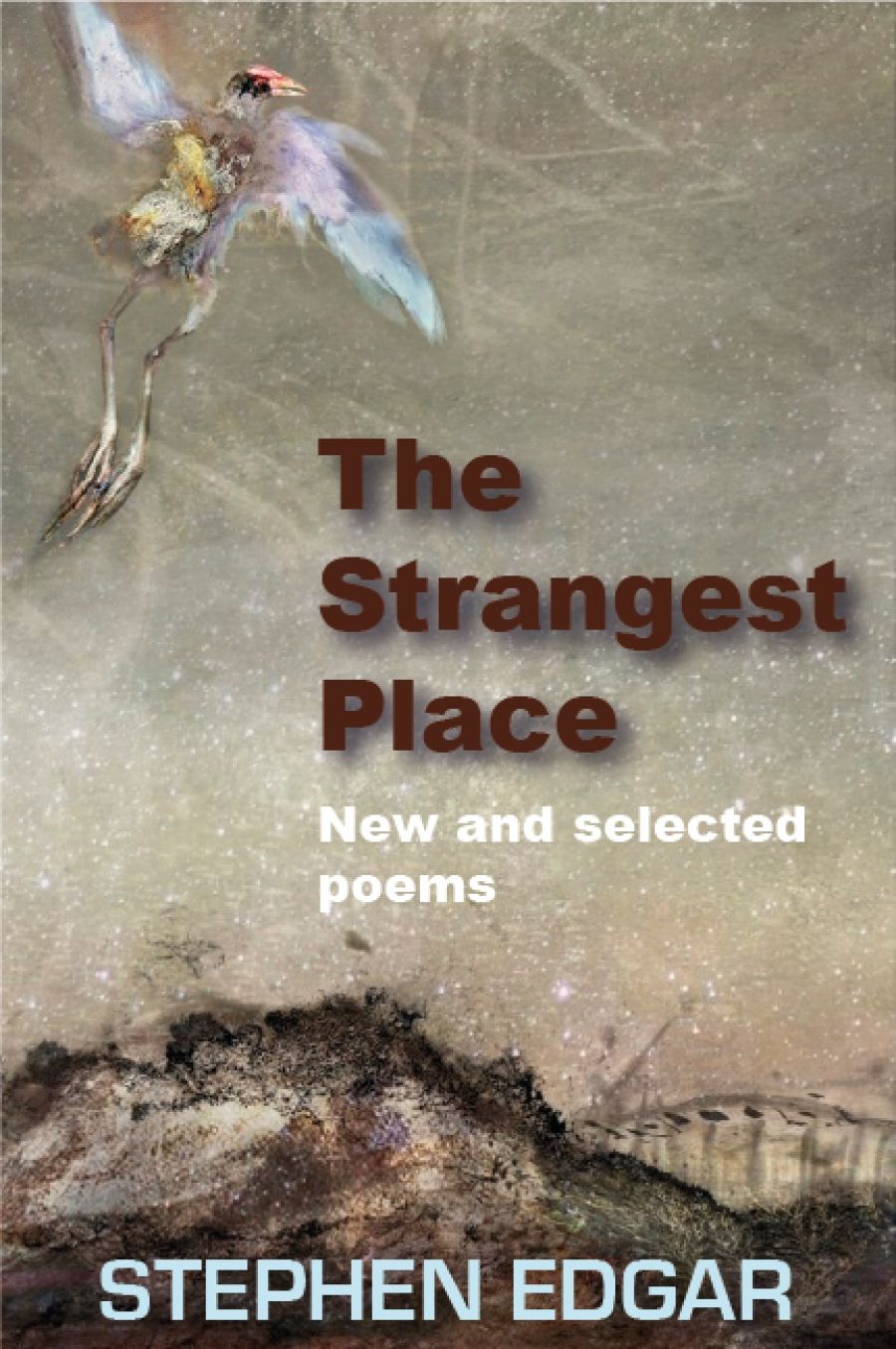 Geoff Page reviews The Strangest Place: New and selected poems by Stephen Edgar