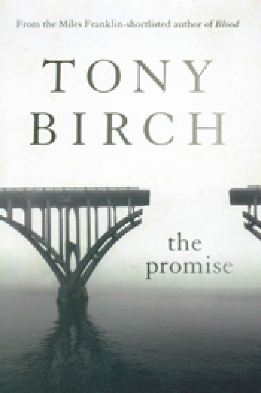 David Whish-Wilson reviews The Promise by Tony Birch