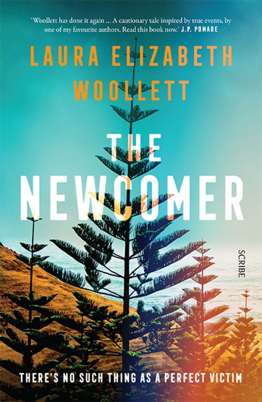 Jay Daniel Thompson reviews The Newcomer by Laura Elizabeth Woollett