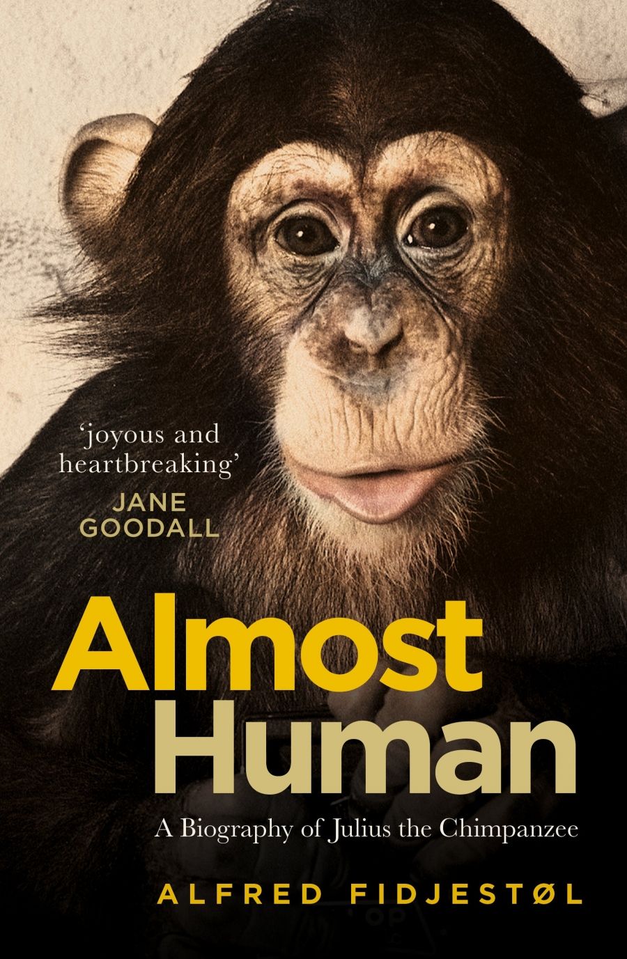 Nicholas Bugeja reviews Almost Human: A biography of Julius the chimpanzee by Alfred Fidjestøl