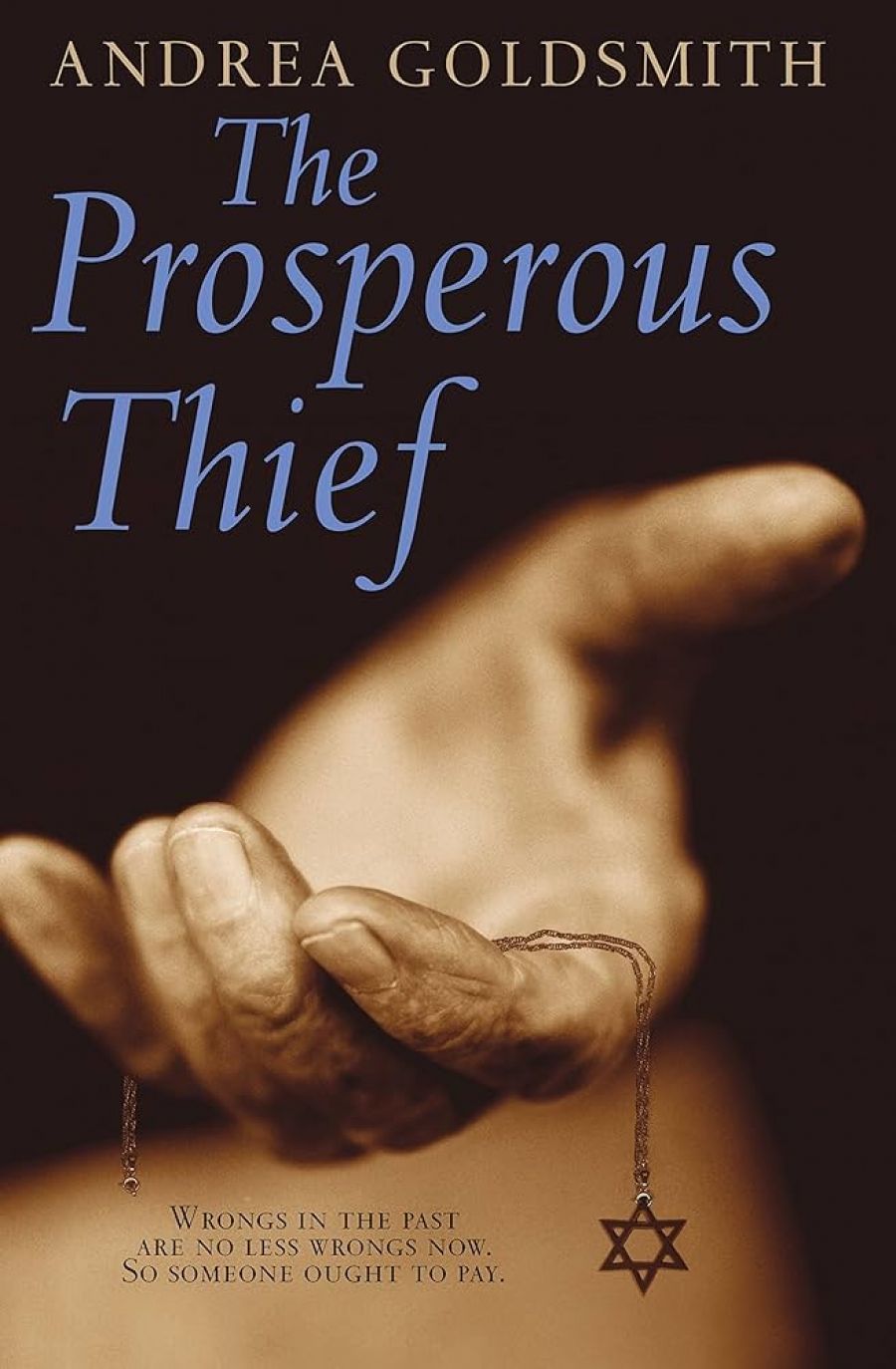 Don Anderson reviews ‘The Prosperous Thief’ By Andrea Goldsmith