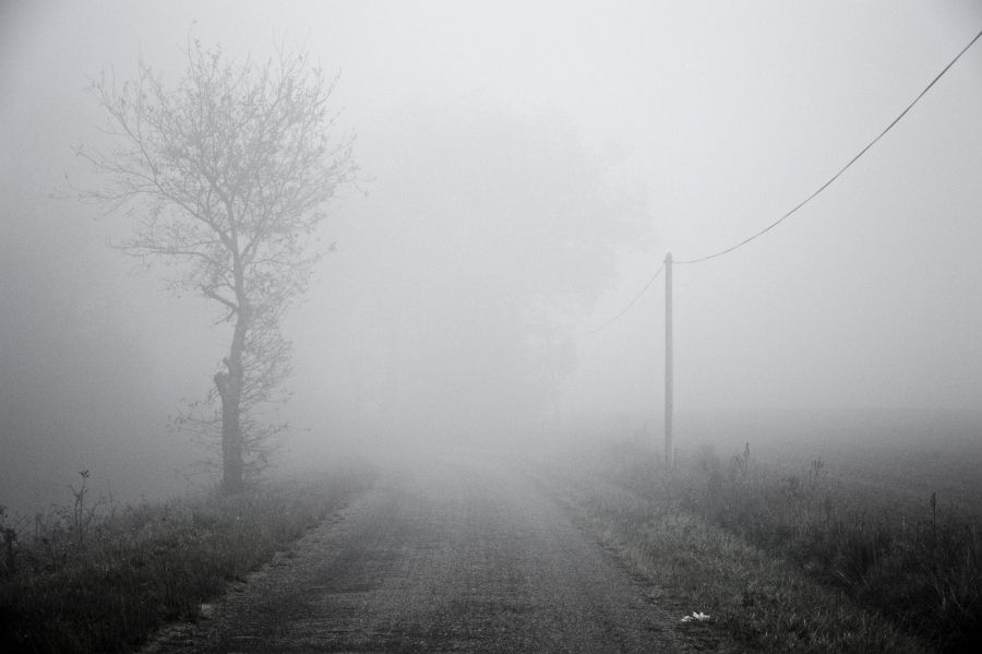 The Haunted Pane a poem by Stephen Edgar