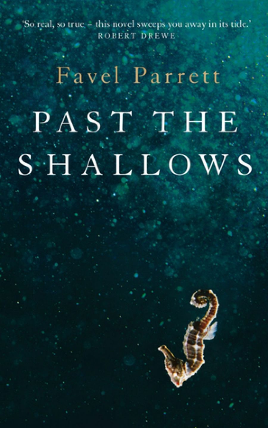 Amy Baillieu reviews Past the Shallows by Favel Parrett