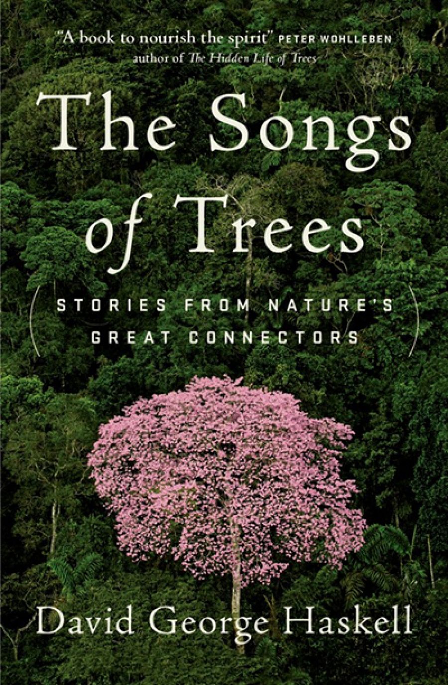 Roger McDonald reviews The Songs of Trees: Stories from nature’s great connectors by David George Haskell