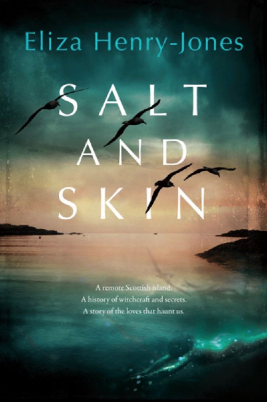 Katherine Brabon reviews Salt and Skin by Eliza Henry-Jones