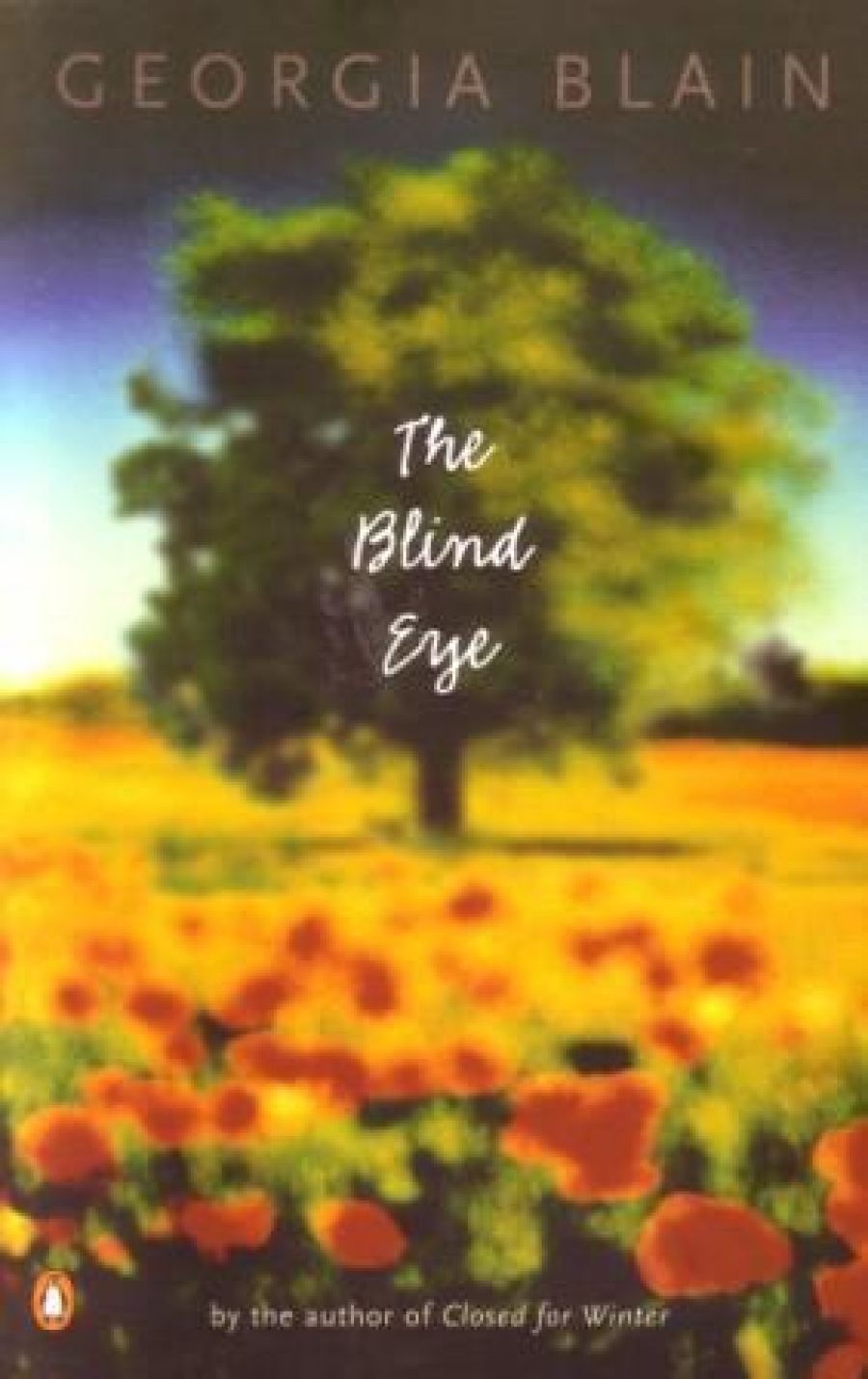 Dianne Dempsey reviews The Blind Eye by Georgia Blain and Bella Vista by Catherine Jinks