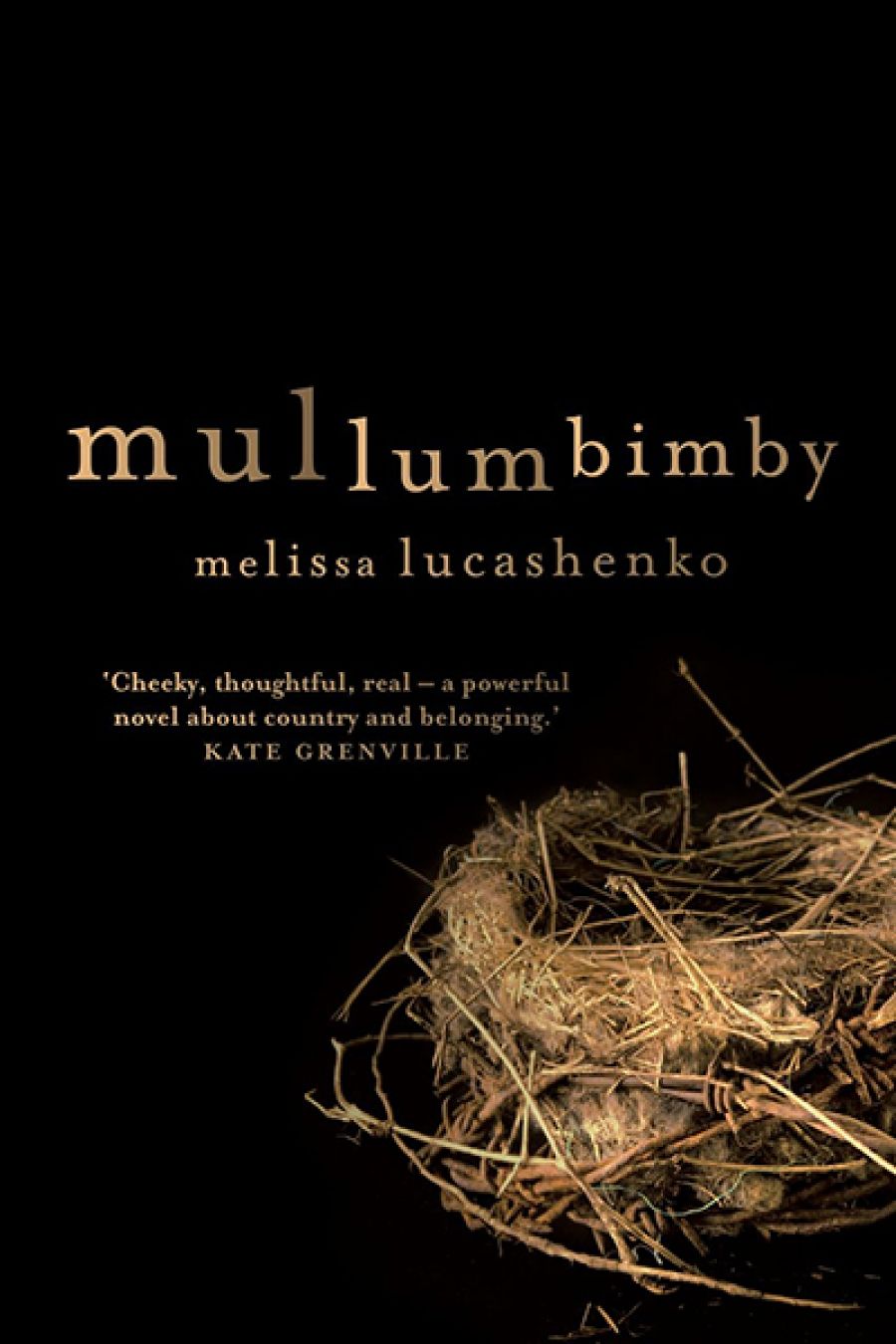 Tony Birch reviews Mullumbimby by Melissa Lucashenko