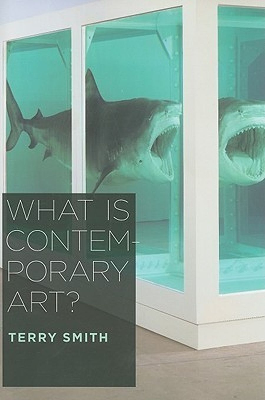 Joanna Mendelssohn reviews What Is Contemporary Art? by Terry Smith