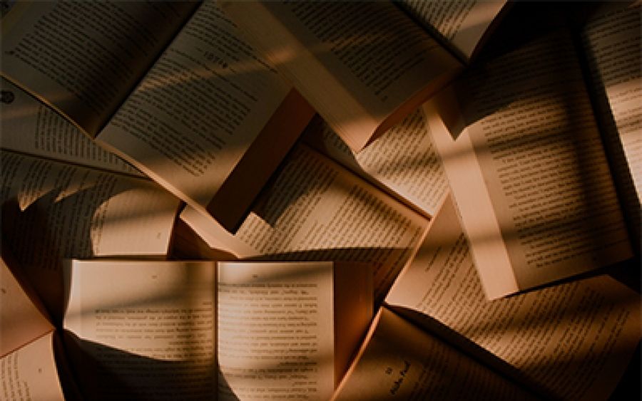 Blurb praise and hot takes: Criticism in an age of publicity by James Jiang