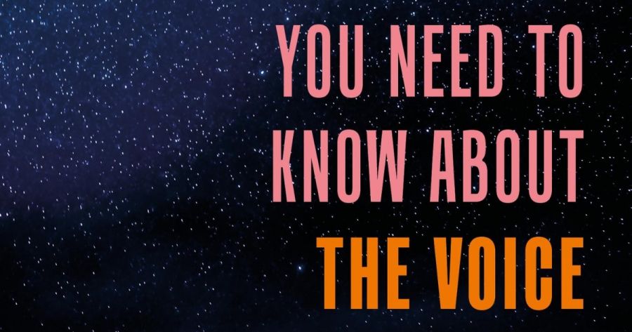 Bronwyn Fredericks reviews Everything You Need to Know about the Voice by Megan Davis and George Williams