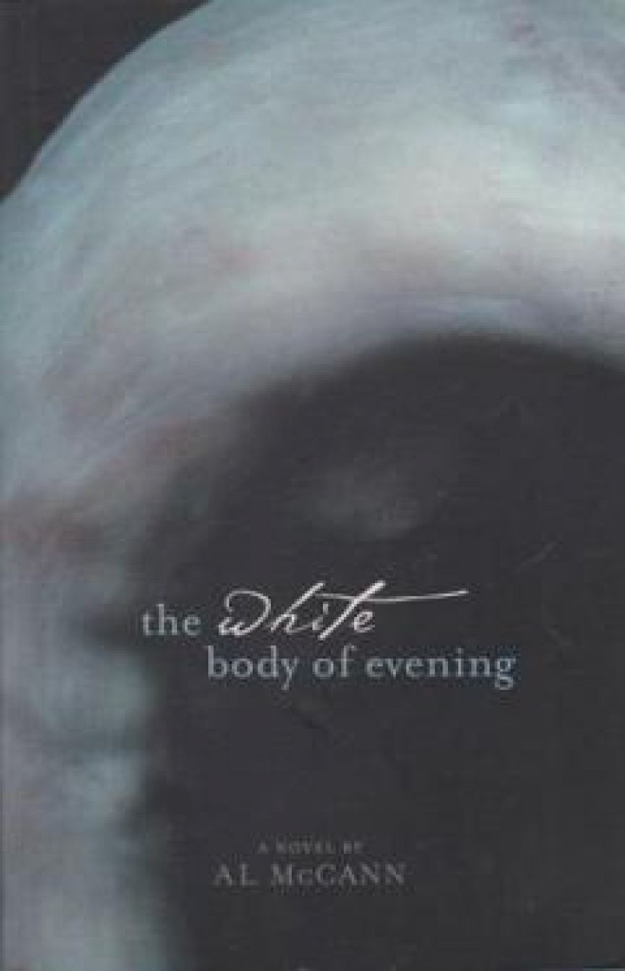 Edwina Preston reviews ‘The White Body of Evening’ by A.L. McCann