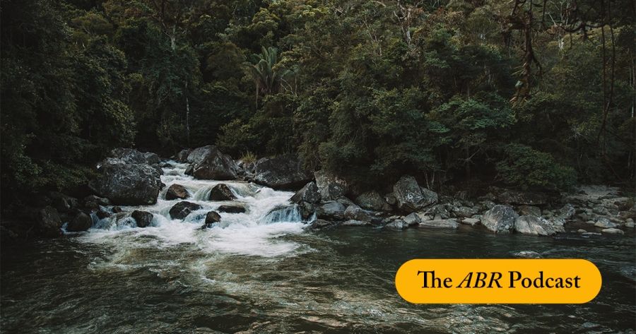 The ABR Podcast: The Point-Blank Murder by Sonja Dechian | #21