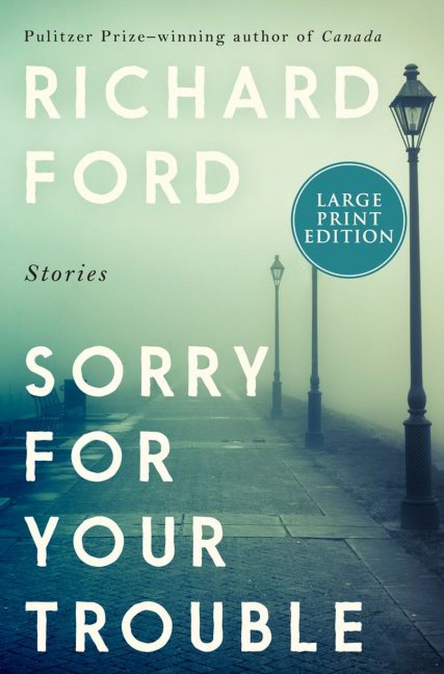 Don Anderson reviews Sorry for Your Trouble by Richard Ford