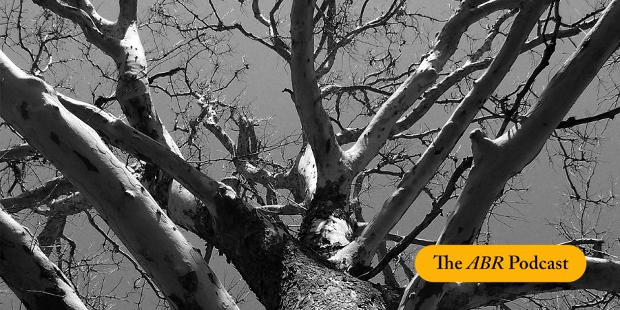 Camilla Chaudhary reads The Enemy, Asyndeton | The ABR Podcast #69