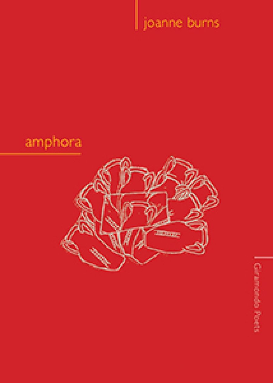 Rose Lucas reviews amphora by Joanne Burns