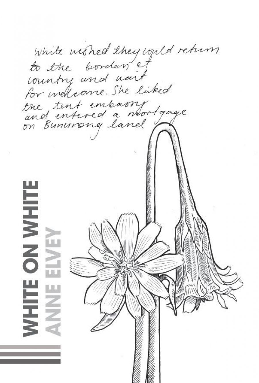 Amy Lin reviews White on White by Anne Elvey and The Sky Runs Right Through Us by Reneé Pettitt-Schipp