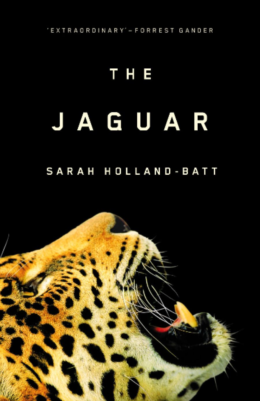 David Mason reviews The Jaguar by Sarah Holland-Batt