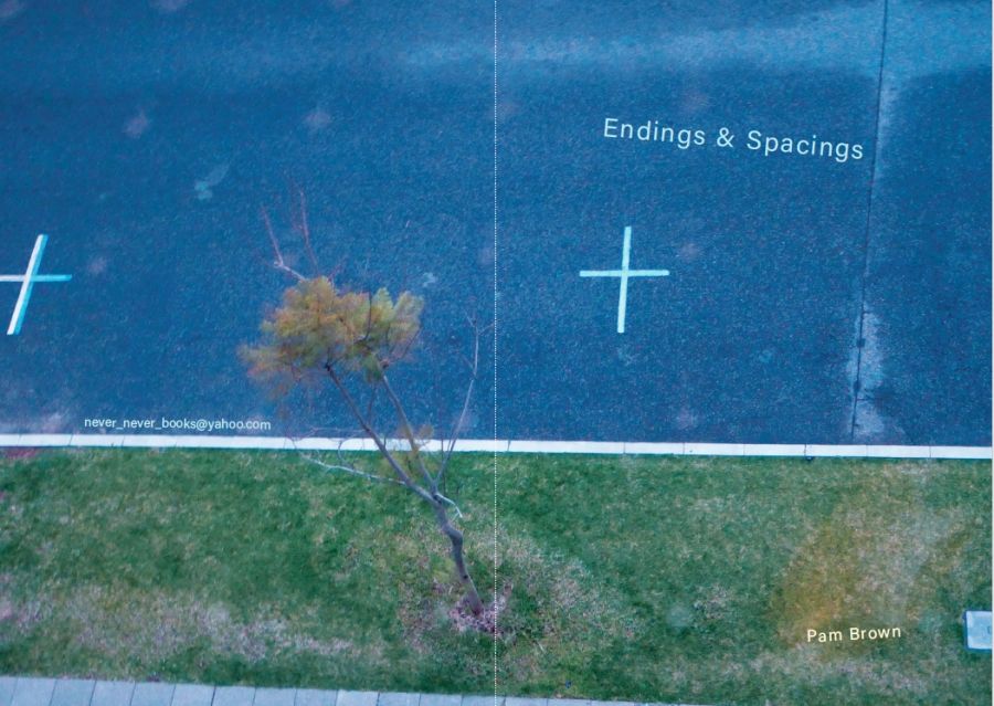 Abigail Fisher reviews Endings & Spacings by Pam Brown and >>> & || (accelerations and inertias) by Dan Disney